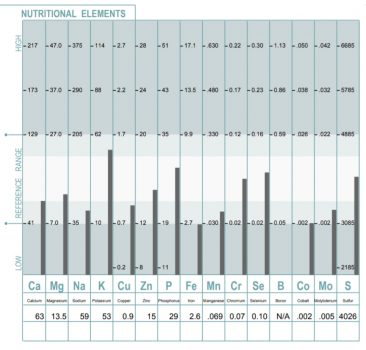 TC-SEP-MINERALS-2020.jpg