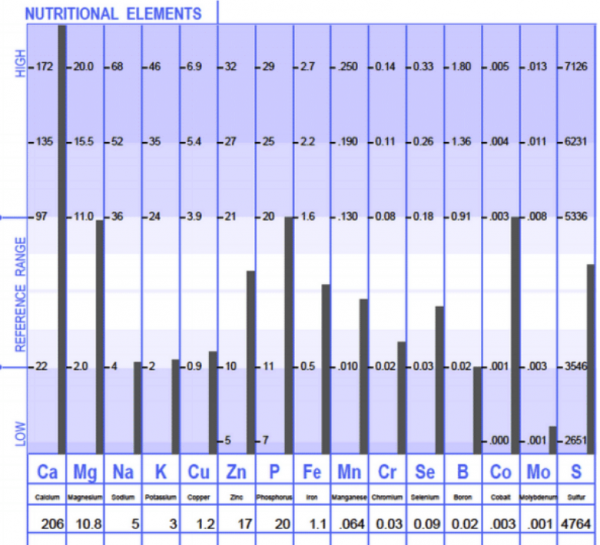 HTMA elements result table as HTMA and consulation package product image