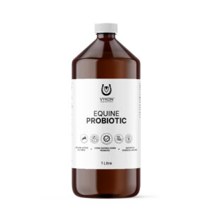 EQUINE PERFORMANCE PROBIOTIC